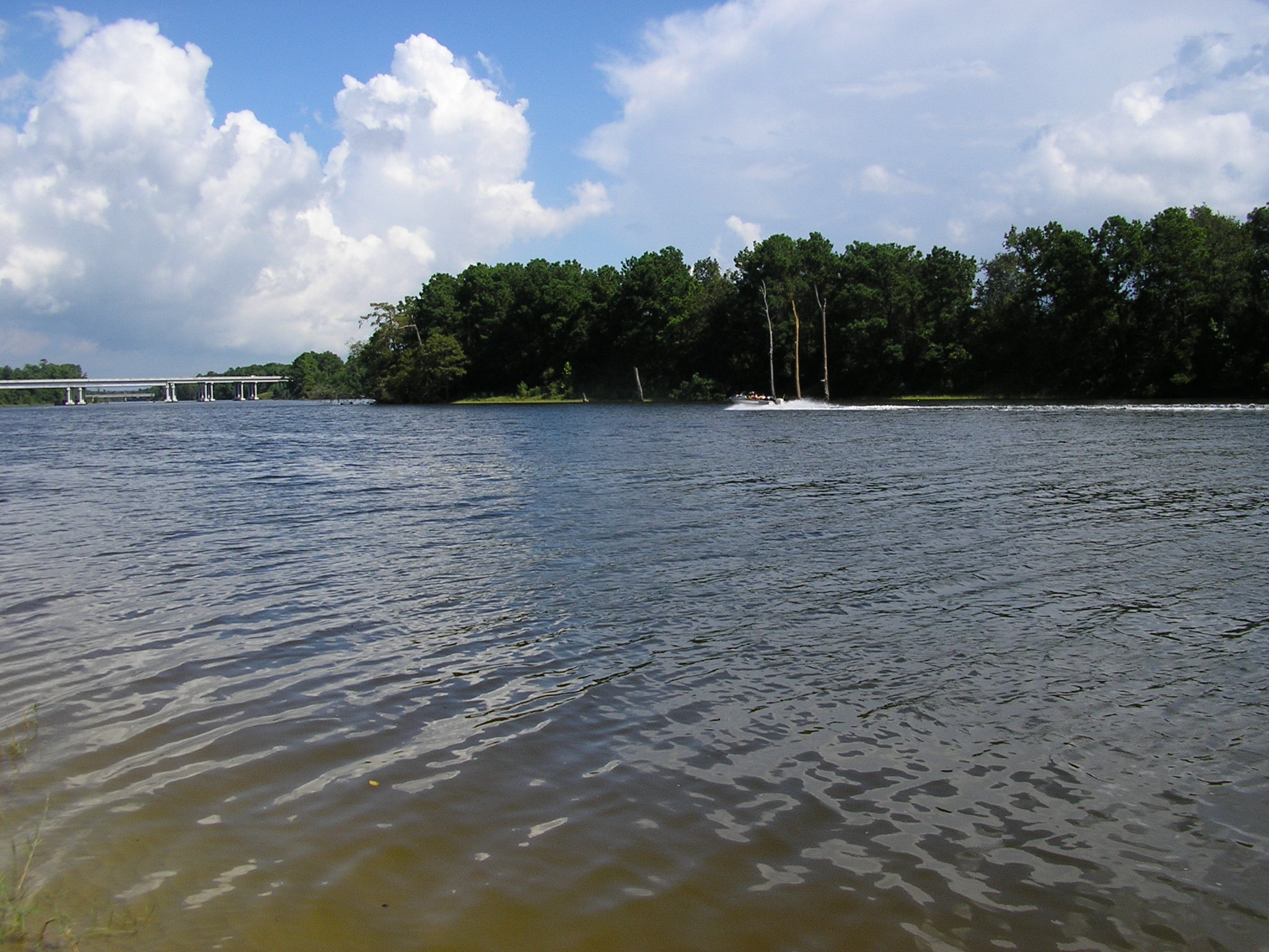 112 +/ Acres on San Jacinto River